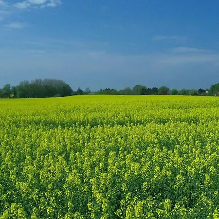 Schule 7 By Interhome Lägenhet