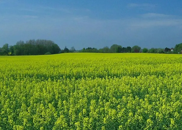 Schule 7 By Interhome Lägenhet